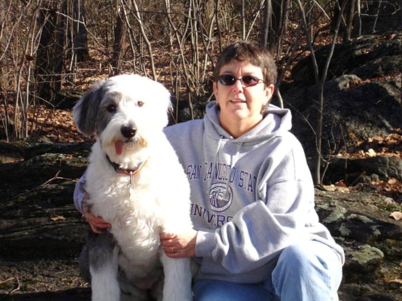 A woman in a gray hoodie sits beside a fluffy dog in a wooded area, surrounded by rocks and autumn leaves.